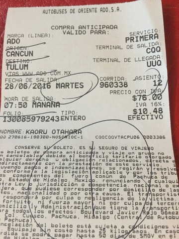 image-17de2.jpg