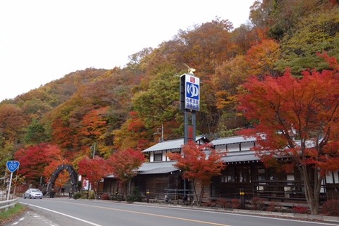 DSC02179.JPG