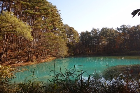 DSC02091.JPG