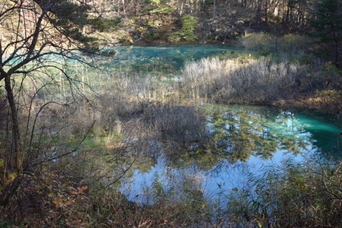 DSC02093.JPG
